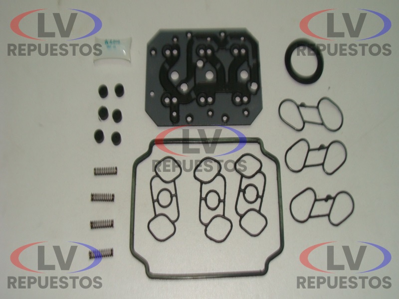 REPARO VALVULA TROCA CAJA C/ OPTICRUISE GR875/895/905/925 RDA