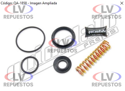 REPARO VALVULA REGULADORA DE FLUJO  QUINELATO