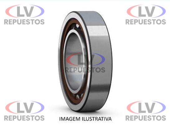 RULEMAN F19002 45X100X25 PUNTA PI�ON DIFERENCIAL R770 S3 SKF