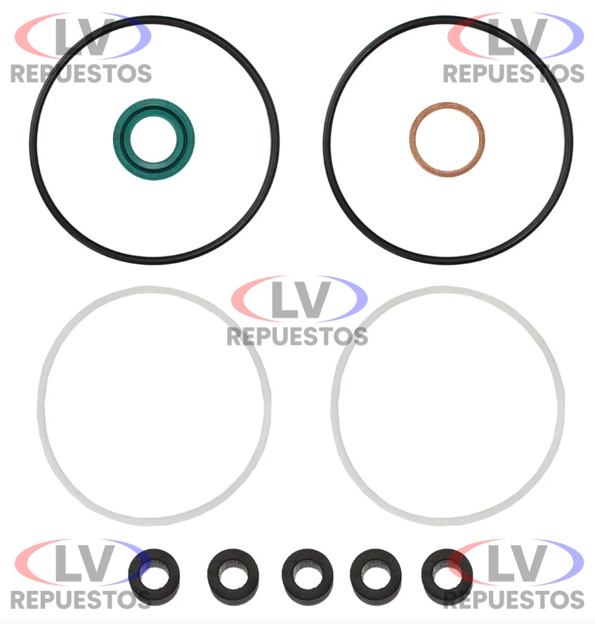 REPARO BOMBA DE DIRECCION ZF7677 SC T112 APC