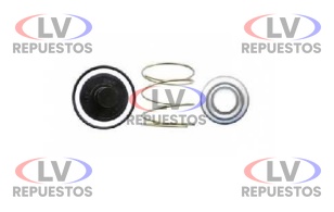 REPARO VALVULA DESCARGA RAPIDA AIRE ENCATCAR